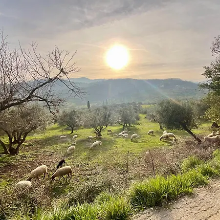 Σπίτι διακοπών A Casa Della Nonna Seano