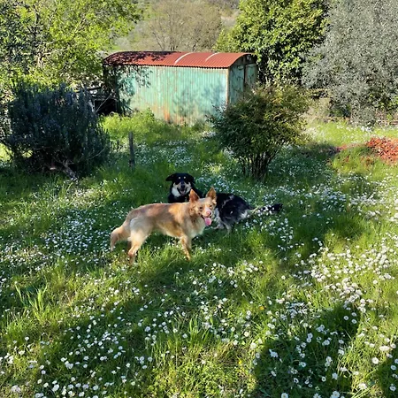 Σπίτι διακοπών A Casa Della Nonna *