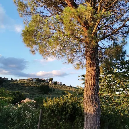 Σπίτι διακοπών A Casa Della Nonna Seano